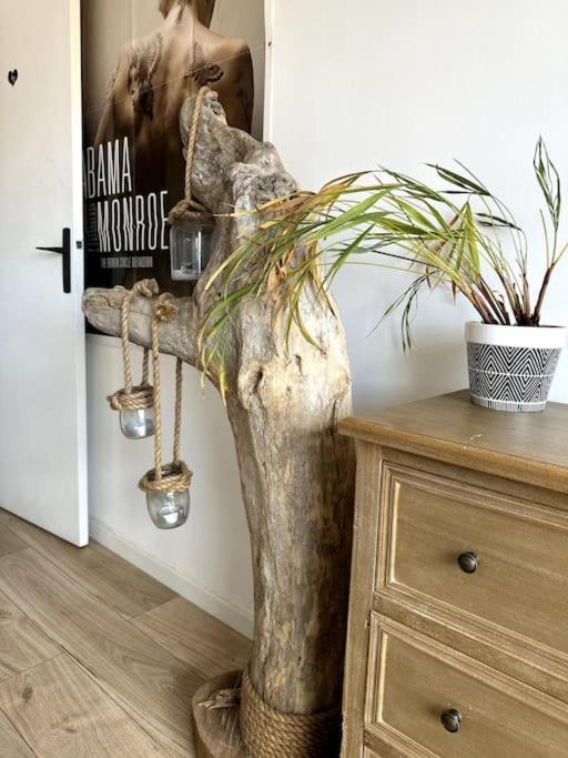 Appartement Cosy Calao - Parking Ferme Gratuit Perpignan Exterior photo
