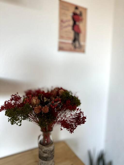 Appartement Cosy Calao - Parking Ferme Gratuit Perpignan Exterior photo