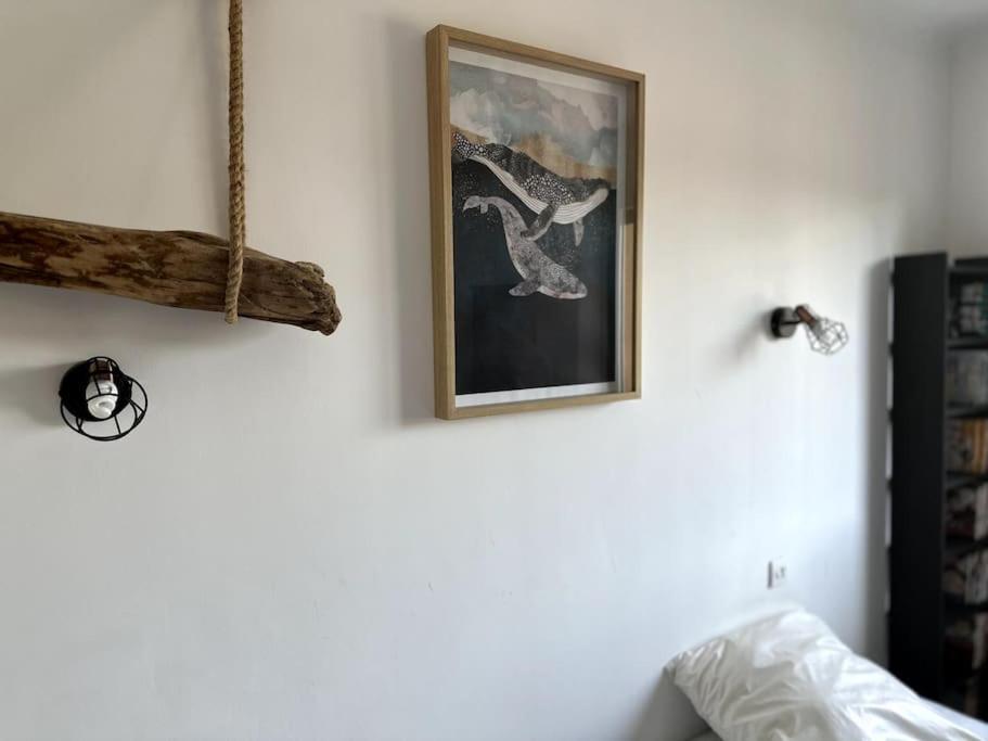 Appartement Cosy Calao - Parking Ferme Gratuit Perpignan Exterior photo